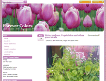Tablet Screenshot of forevercolors.com
